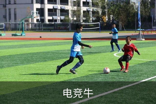 电竞牛平台环境